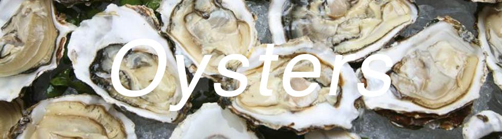 Oysters | Foods that boost libido