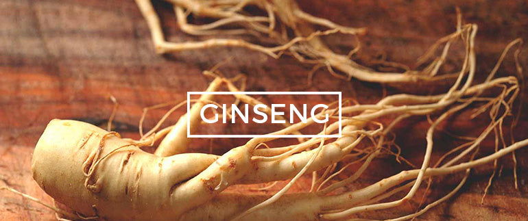 Ginseng - Adaptogen