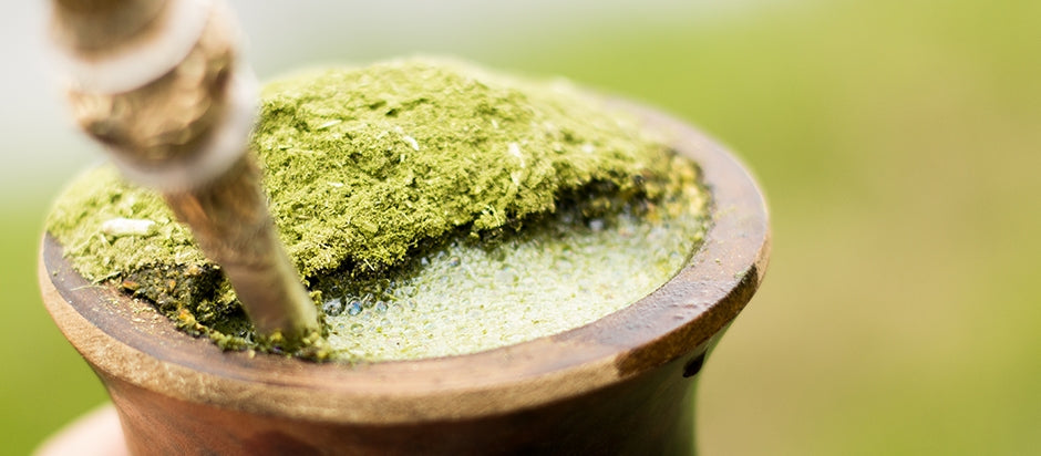 Yerba mate benefits