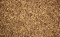 What is Pearl Barley?