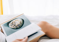 The best cookbooks of 2019